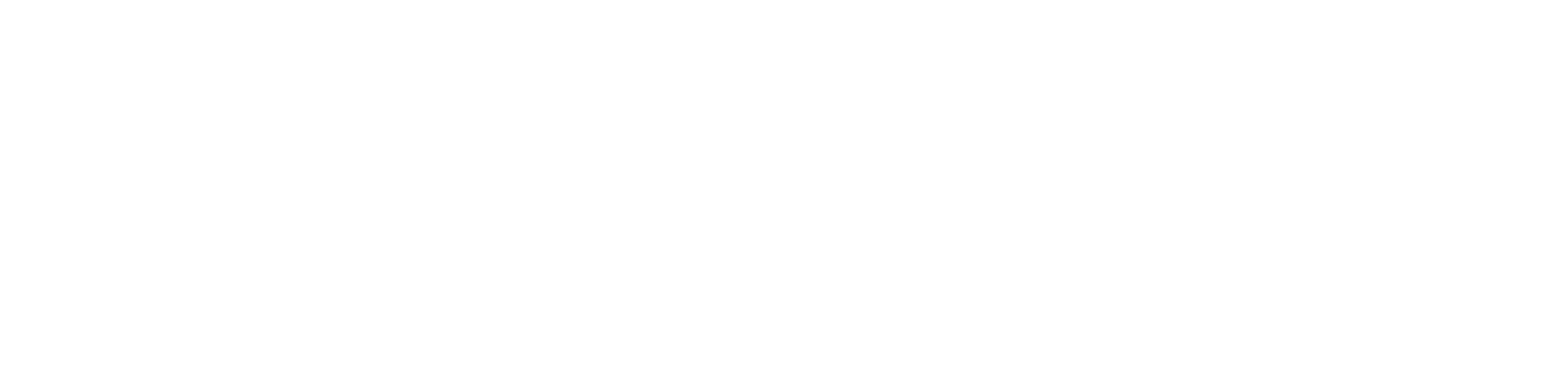SCOPERR logo — white PNG